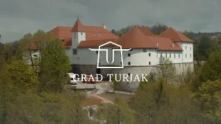 video-7